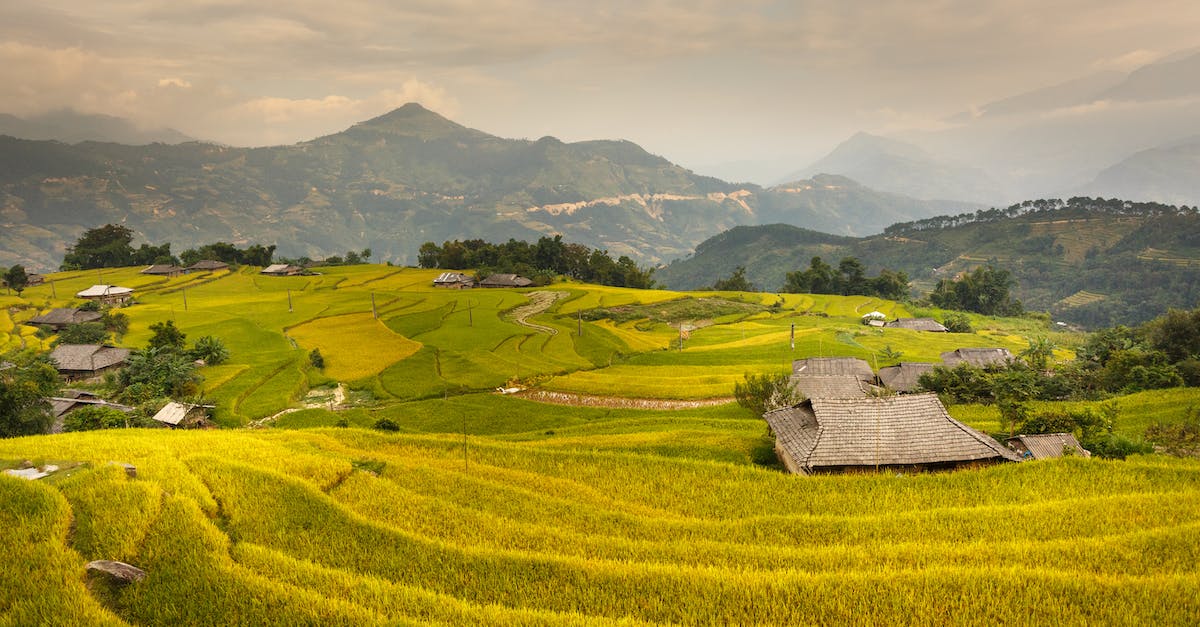 How can I maximize my chances of obtaining a Russian visa outside my home country? - Photo Of Rice Terraces During Daytime