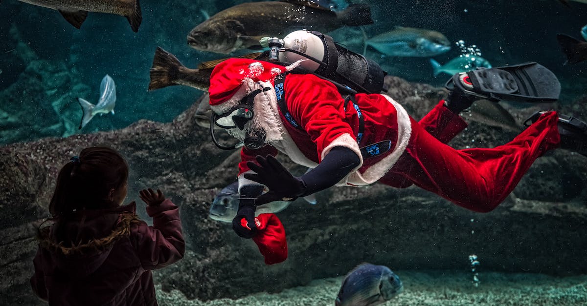 How common are onsen that require swimming costumes in Japan? - Man in Santa Claus Costume With Diving Gear Inside Aquarium
