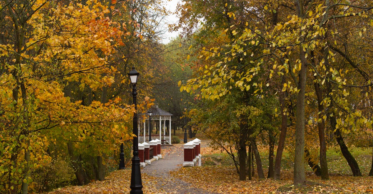 How common is public wifi in major cities in Israel? - Pathway in autumn park leading to public gazebo