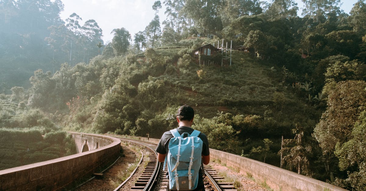 How do I carry parrots on an Indian Railway train? - Back View Photo of Man Standing in the Middle of a Train Track