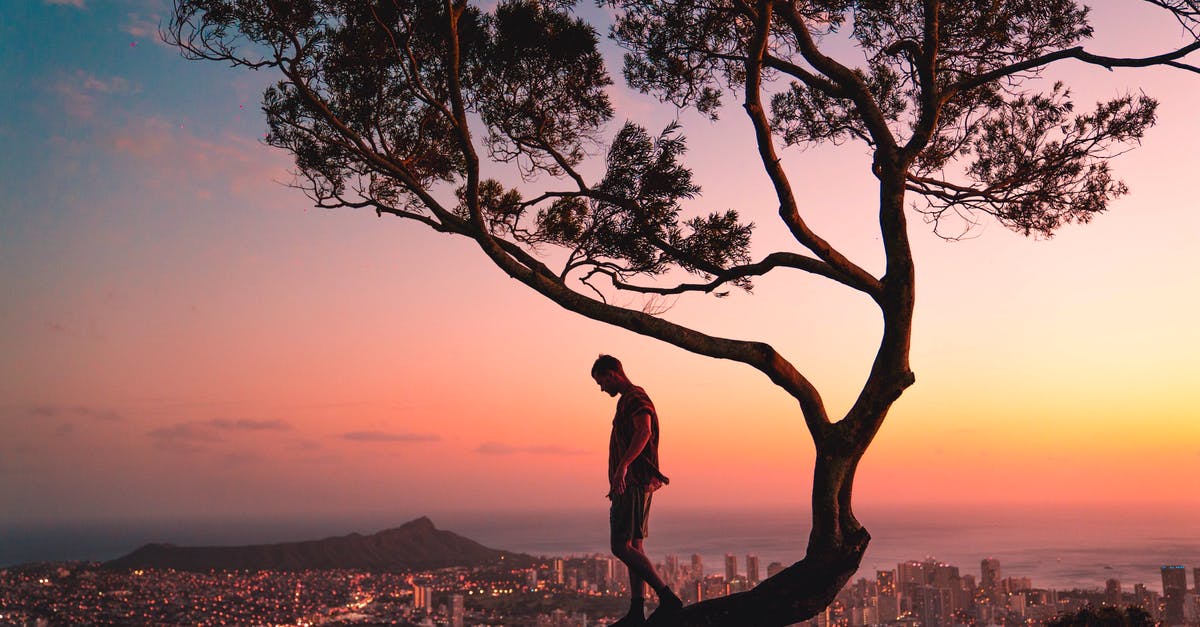 How do I create all-inclusive travel packages for a wedding? - Man Standing on Tree Branch during Sunset