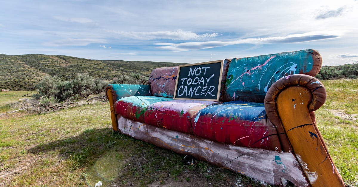 How do I prevent damage to my luggage? - Painted old couch on ground in nature