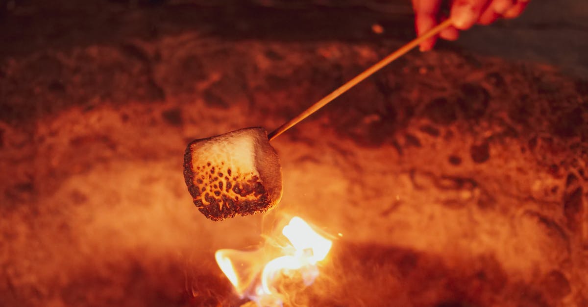 How do I roast a marshmallow over lava in Iceland? - Person Roasting Marshmallow