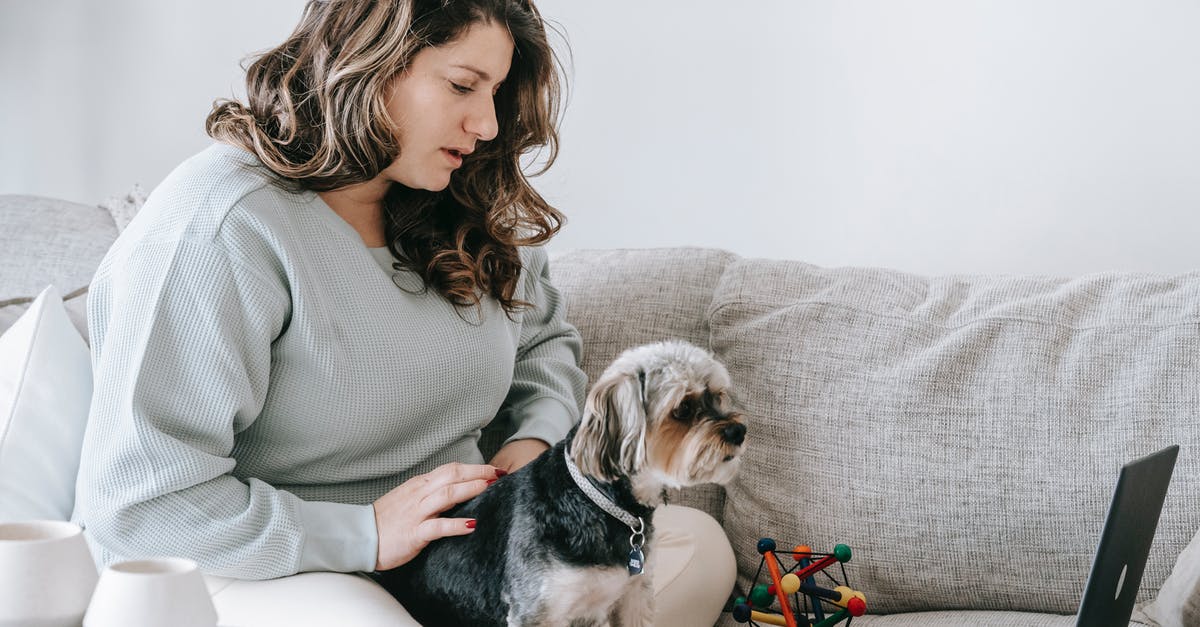 How does the TSA dog expedite the screening process? [closed] - Young female owner with wavy hair in casual clothes sitting on comfy sofa and stroking adorable Yorkshire Terrier dog while watching together interesting movie on laptop at home