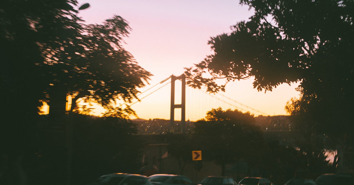 How easy to take the car in Schengen Area - Defocused view of cars parked on asphalt road near green trees against bridge at night