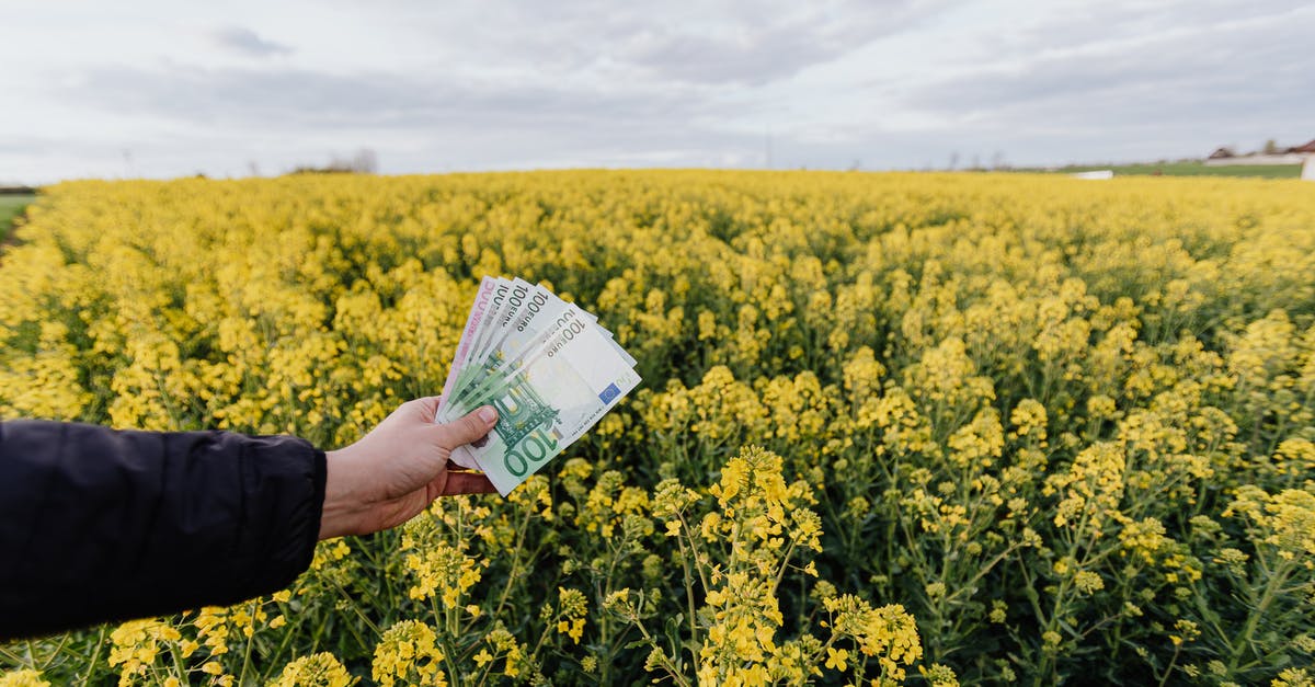 How expensive is a vacation to Japan? - Crop man with paper banknotes on blooming meadow