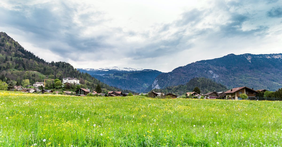 How important is it to obtain Swiss Francs before arriving in Switzerland? - Green Grass Field and Mountain Under White Clouds