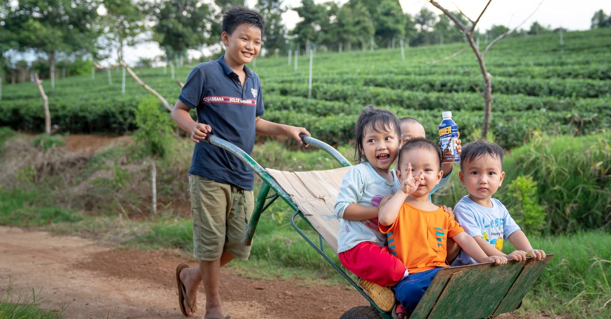 How is CTA 144-A-2014 applied to interline carry-on on same ticket? - Funny Asian toddlers having fun while brother riding metal wheelbarrow on rural road in green agricultural plantation