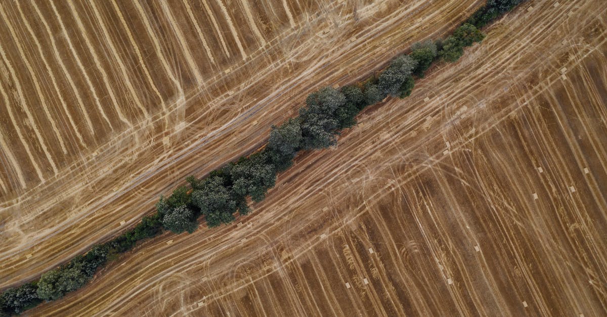 How is the land border between Poland and the Ukraine? - Aerial Photo of A Wall Of Trees Across Dry Plains