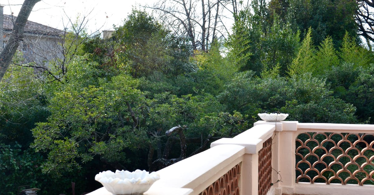 How late are Canadian parks open in fall? - Picturesque view of tall green lush trees growing in yard from open white stone balcony in city