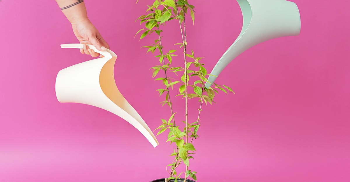 How long can I stay in the UK? - People Holding Long Spout Plastic Watering Cans