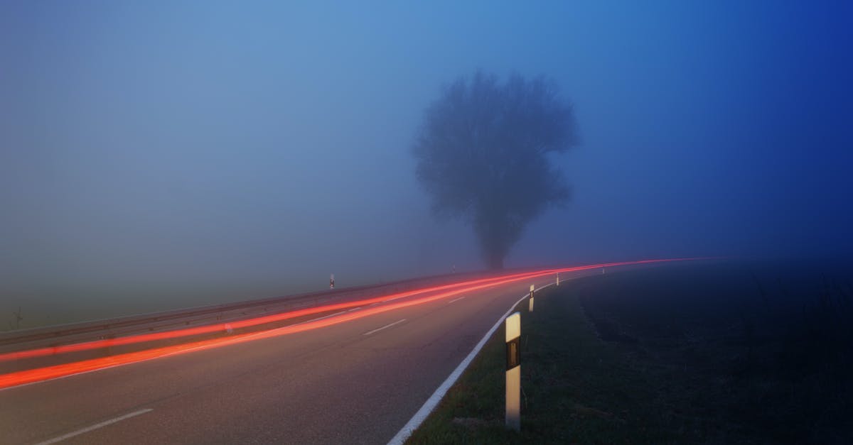 How long does a Red Flag stay in Airport system - Time-lapse Photography of Fog Filled Road Near Tree