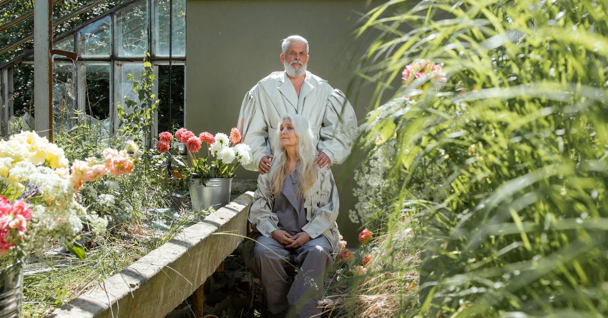 How long should I keep my old passport? - An Elderly Couple Sitting and Standing Near Tin Pots of Flowers