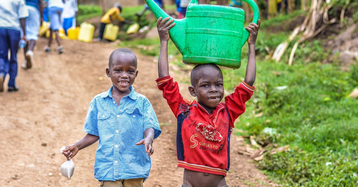 How much cash can I carry when travelling to the US? - Two Boys Walking Beside the Grass