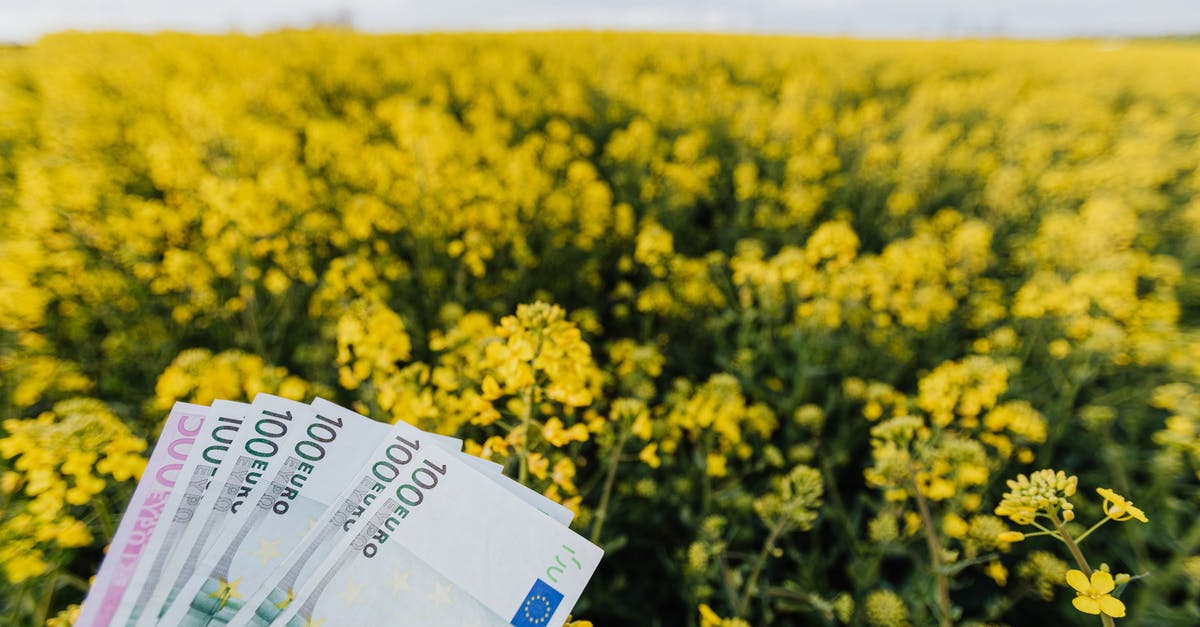 How much currency in cash for trip to Turkey? [closed] - Various Russian paper banknotes located on picturesque view of bright blossom field on cloudy day