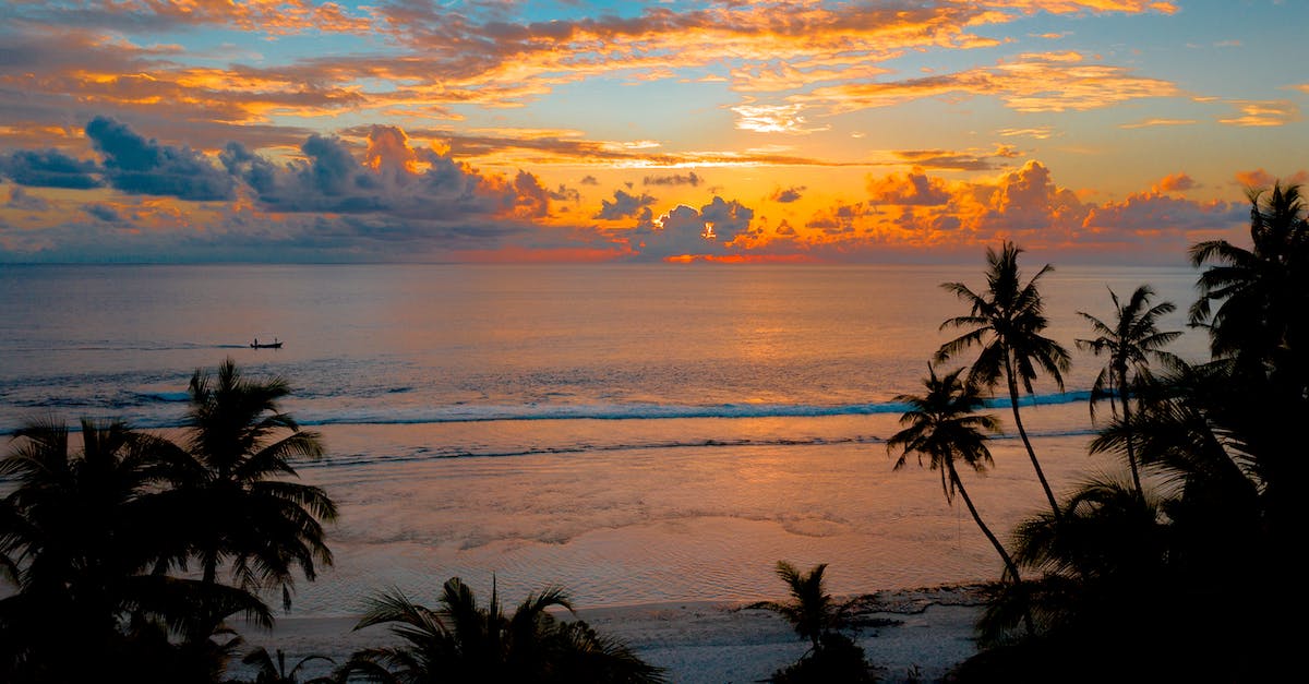 How much is it appropriate to tip in Palm Beach? - Silhouette Dusk falling Rapidly