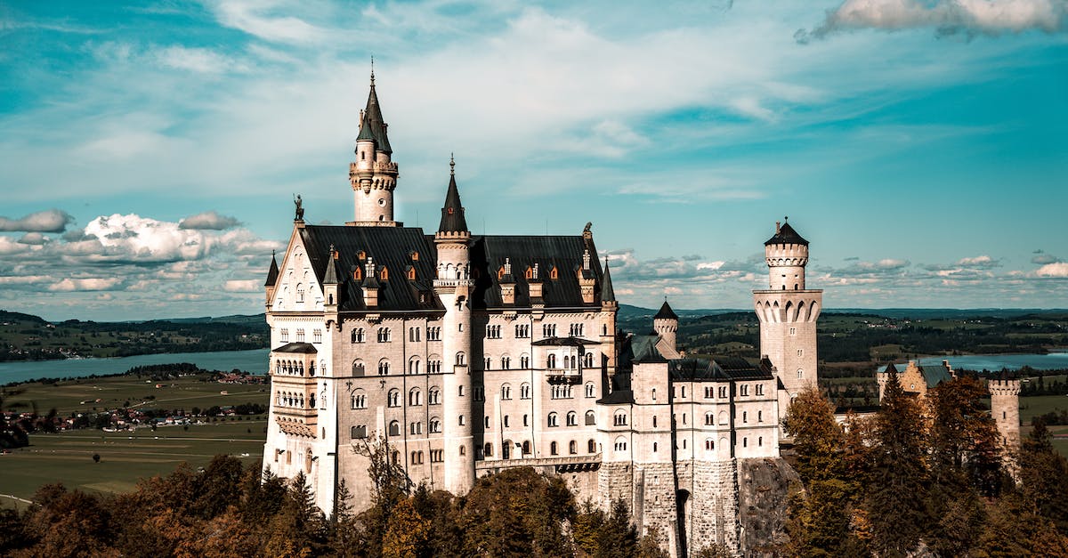 How much scaffolding is currently on Neuschwanstein Castle? - White and Black Castle Under the Blue Sky