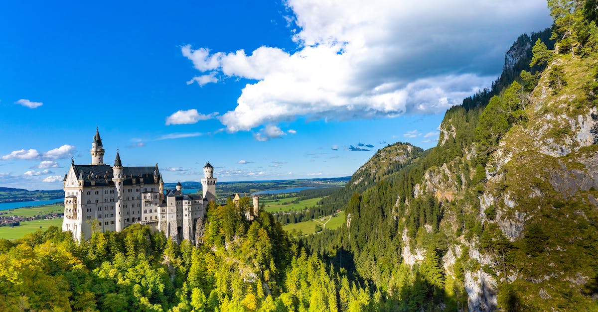 How much scaffolding is currently on Neuschwanstein Castle? - White and Black Castle Under the Blue Sky