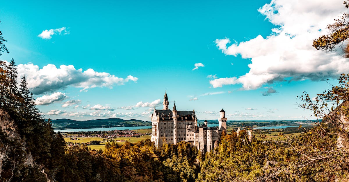 How much scaffolding is currently on Neuschwanstein Castle? - White and Black Castle Under the Blue Sky