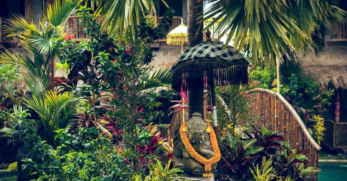 How much to donate at Hindu temples in India? - Statue With Orange Necklace Surrounded by Plants and Trees