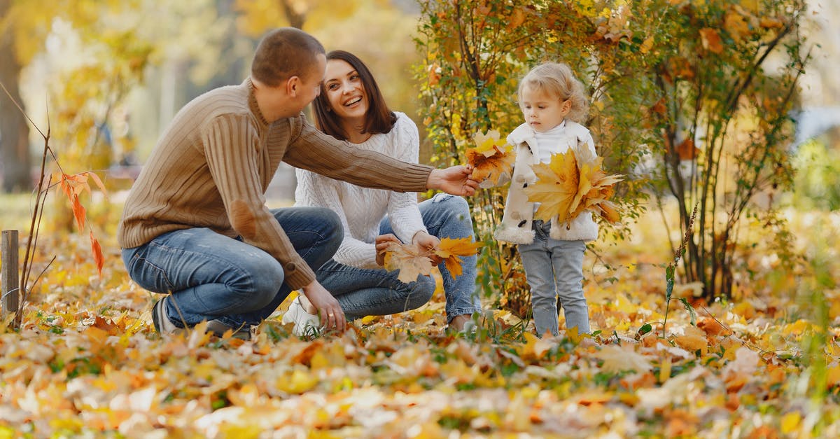 How practical is it to take a Collectivo to Xel'Ha park? - Cheerful adult parents sitting on ground with fallen leaves in autumn park near adorable little girl with bouquets of yellow maple leaves