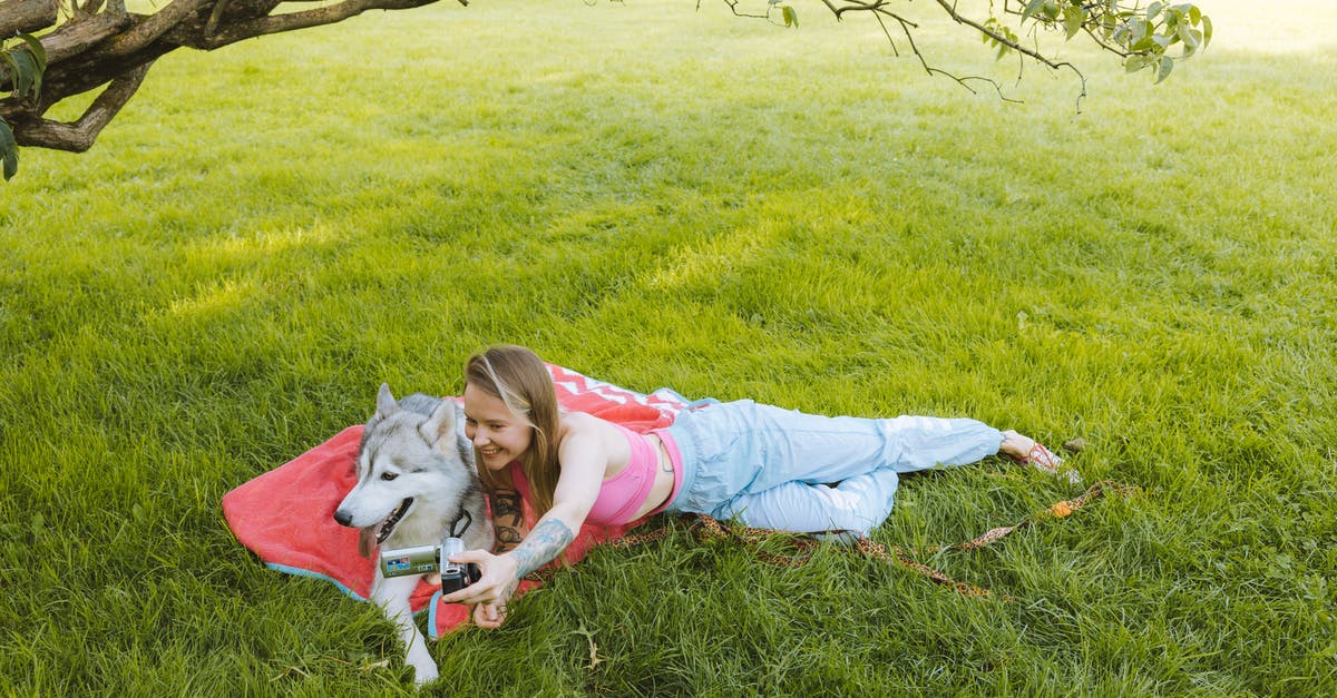 How practical is it to take a Collectivo to Xel'Ha park? - Woman in Pink Shirt Lying on Green Grass Field