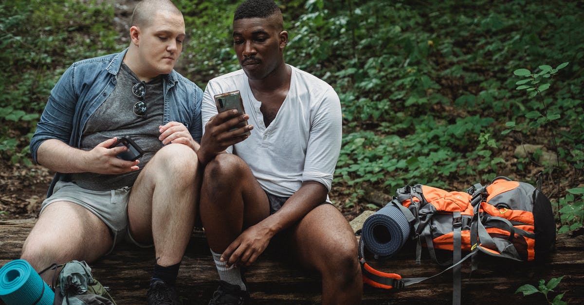 How to collect online travel information in a book? - Full body of concentrated multiracial male hikers surfing internet while resting on old brown horizontal log in forest in daytime