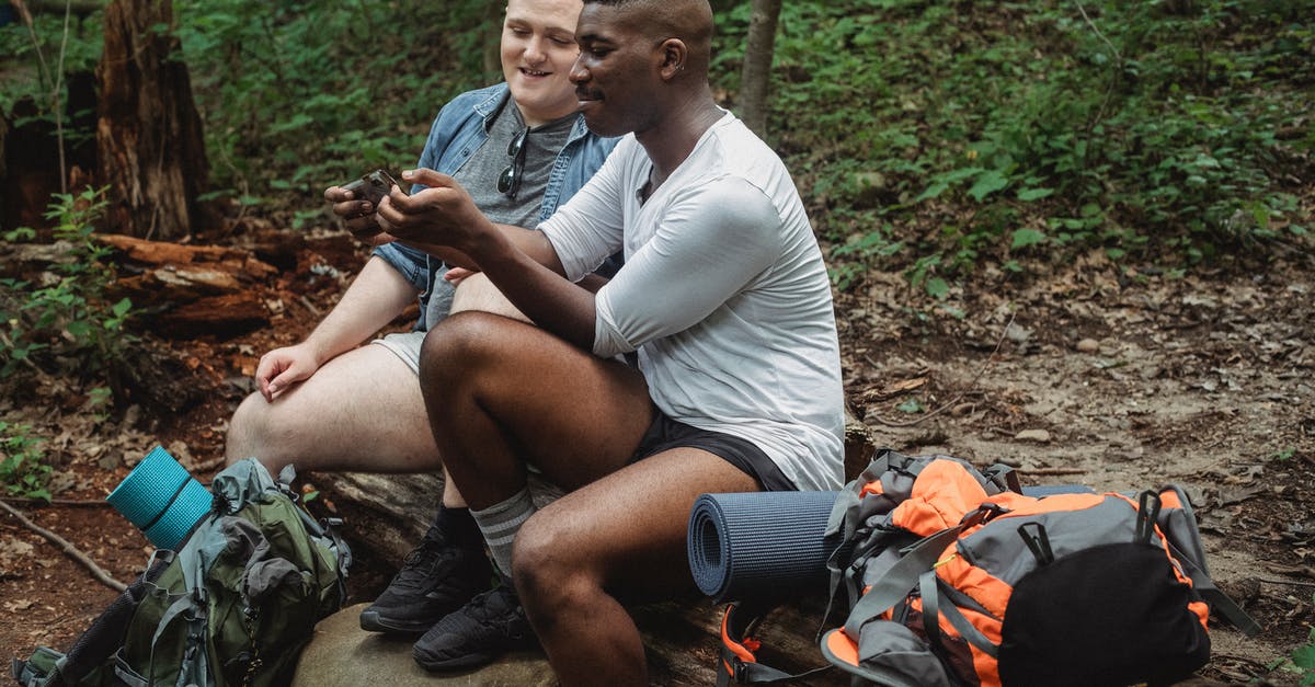 How to collect online travel information in a book? - Full body side view of multiracial tourists in casual clothing surfing internet with smile while resting on old brown tree trunk with legs on boulder in daytime