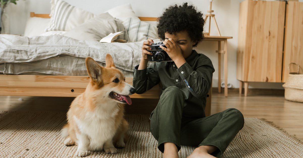 How to deal with other tourists taking pictures of my children? - Boy Taking Picture of Dog on Vintage Camera