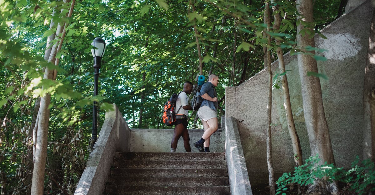 How to decide which way to go up the Eiffel tower? - Side view of active multiracial travelers walking upstairs in green park in sunny day