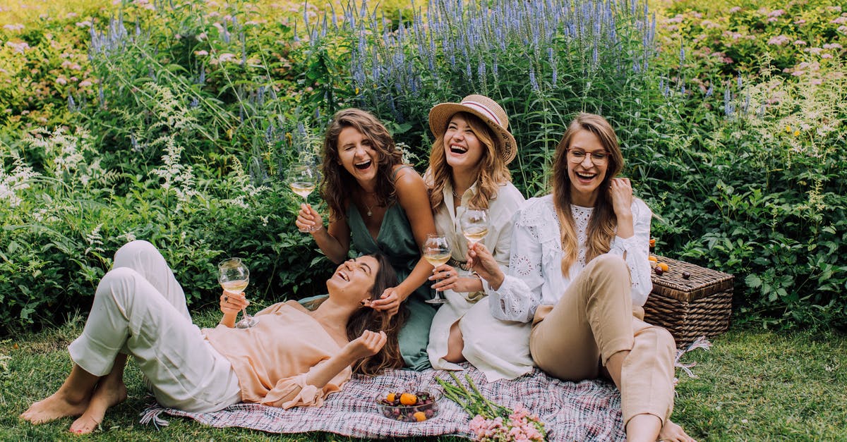 How to find a multi-day park-and-ride for Paris? - Women Sitting on Green Grass Field