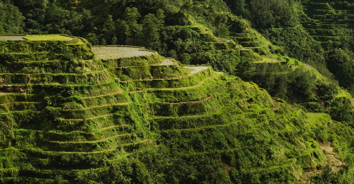 How to find car rental companies in Kalibo, Philippines? - Scenic Photo Of Rice Terraces During Daytime