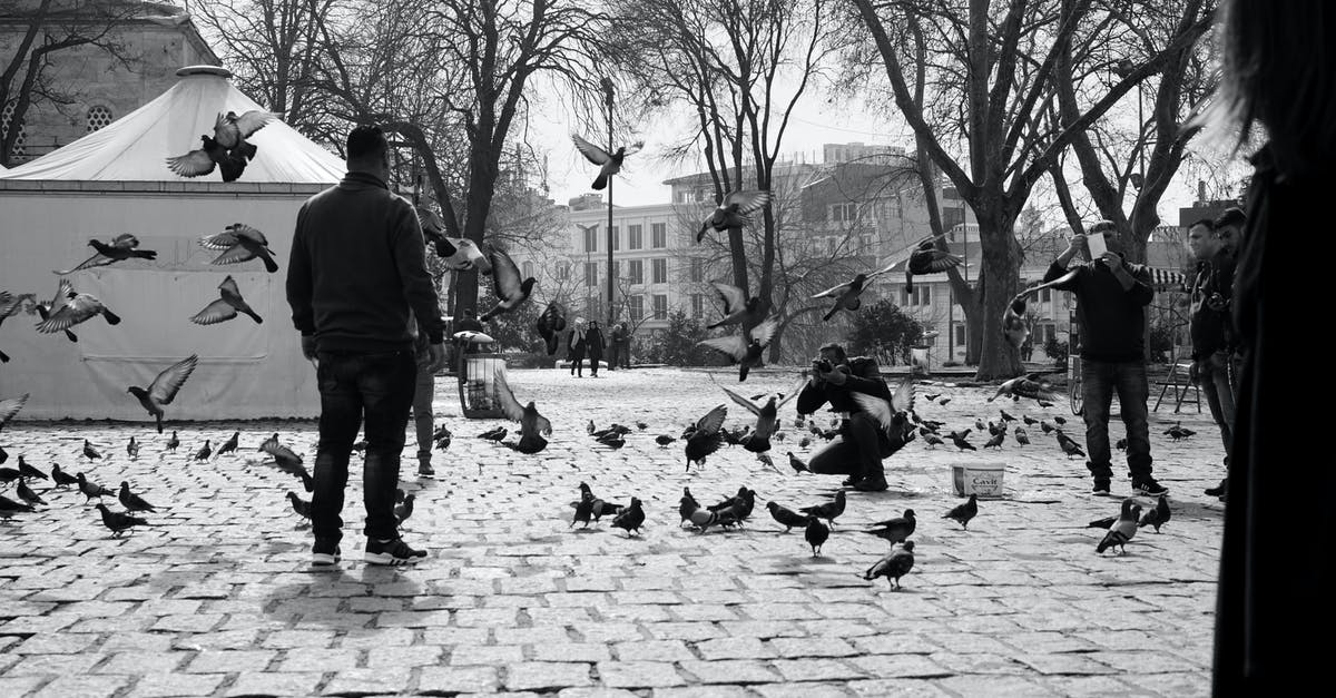 How to fly with Ryanair as a non-EU citizen? - Black and white unrecognizable people feeding pigeons on paved city square on autumn day