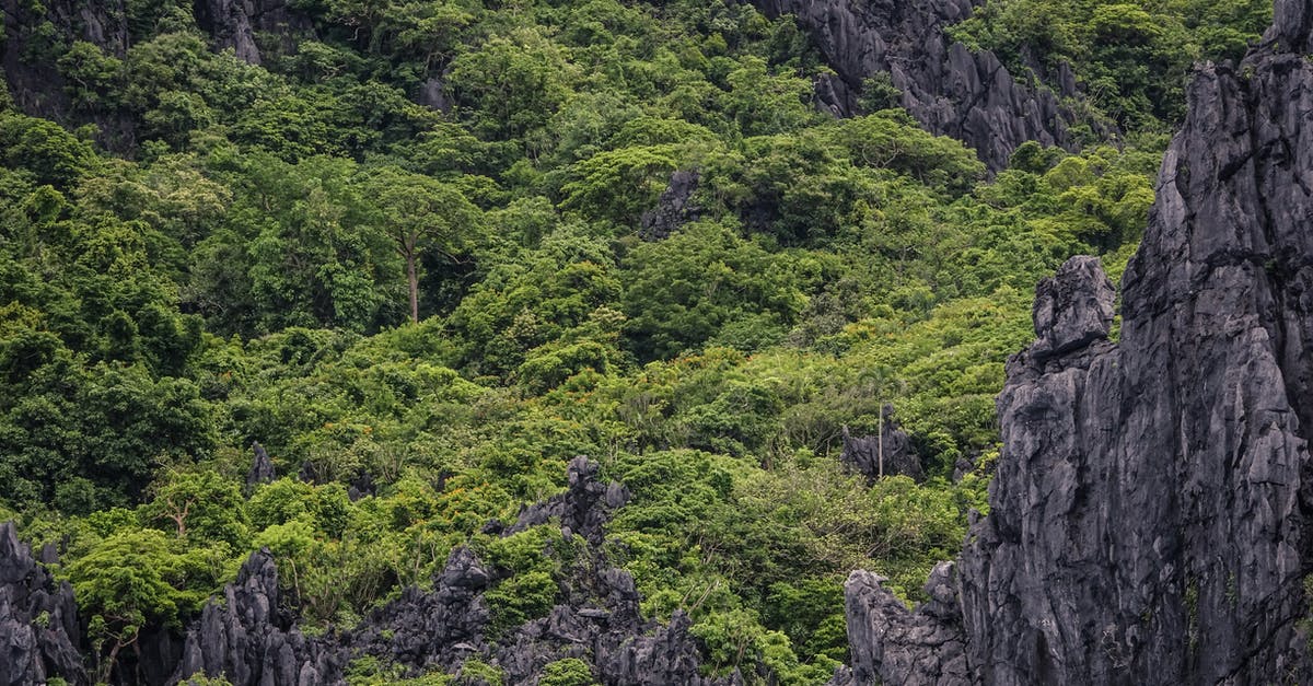 How to get from Negros/Cebu to El Nido, Palawan? - Green Trees on Rocky Mountain