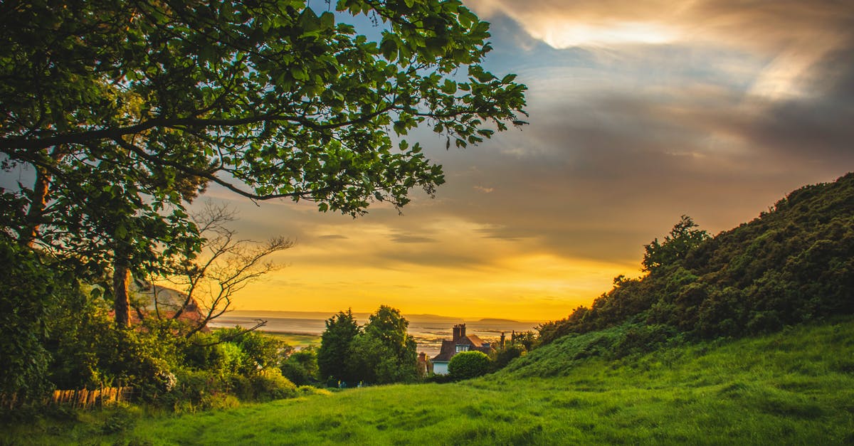 How to get from North Wales to Cambridge? - Green Trees Under Blue and Orange Sky during Sunset