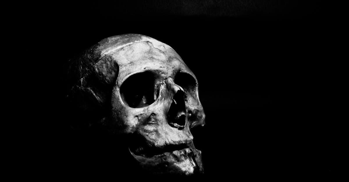 How to get over the fear of flight? [duplicate] - Grayscale Photography of Human Skull