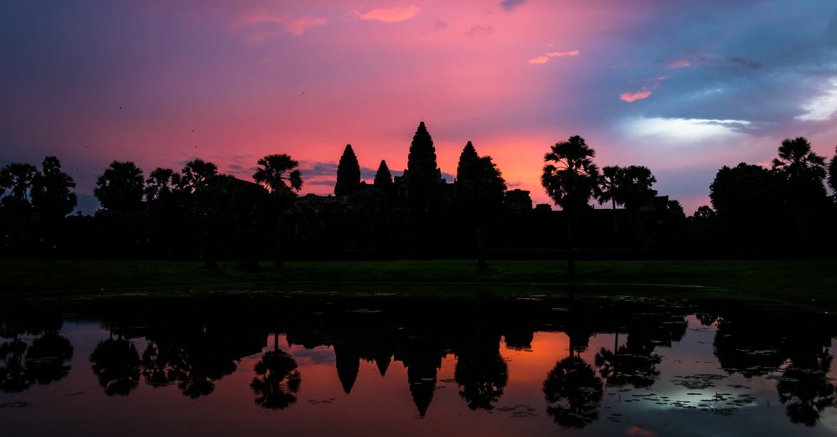 How to get to Siem Reap (Angkor Wat) from Pakse by land? - Silhouette of Trees Near Body of Water