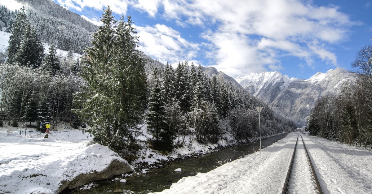 How to Identify Trains in Austria and Switzerland? - Railway Surrounded by Trees Covered With Snow