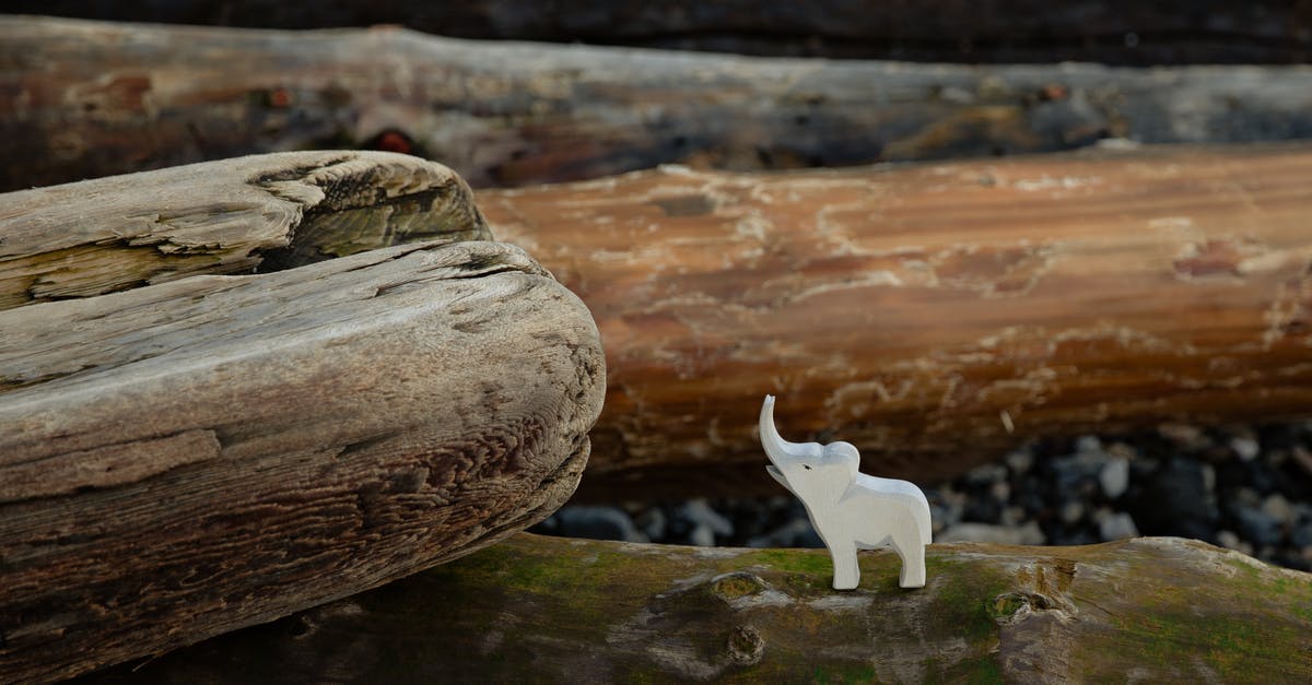 How to log the places you visited as detailed as possible? - Toy figure of elephant placed on log on stony ground in nature