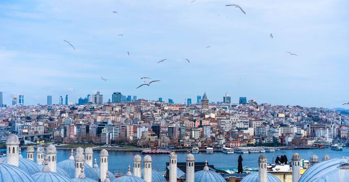 How to make complex multi-leg flight reservations? - Contemporary buildings and old majestic mosques near river under cloudy sky and birds flying in Turkey