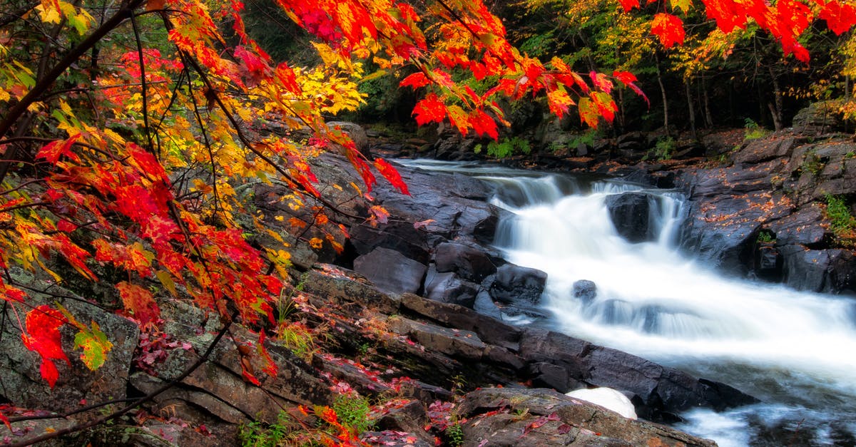 How to reach Dudhsagar Falls by Scooter in Monsoon Season? - Photo of Waterfalls During Fall Season