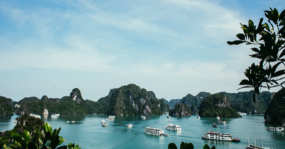 How to reach Olympic Island before April? - Green Trees on Island