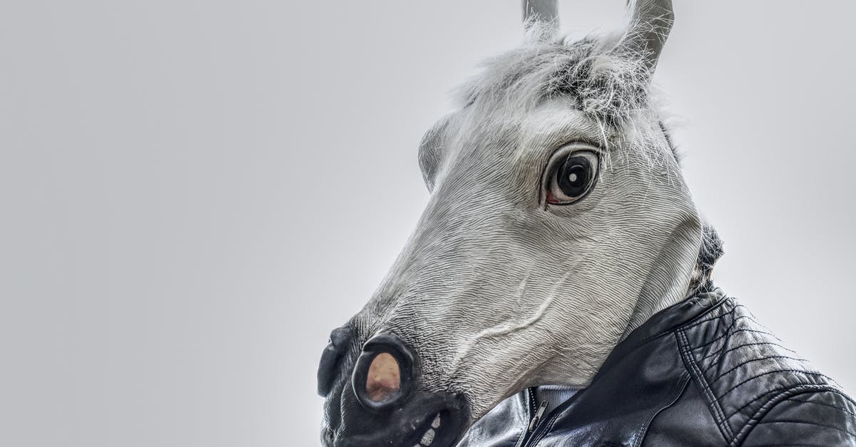 How to recognize fake Peruvian money? - White Horse Wearing Black Leather Zip-up Jacket