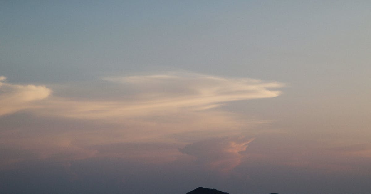 How to see the mangrove on Kohama island - Sea Under Purple sky