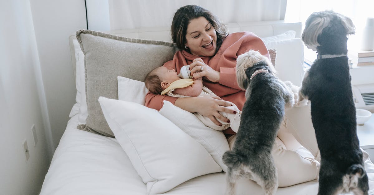 How to sterilize infant feeding bottles while traveling? - Woman in White Long Sleeve Shirt Lying on Bed Beside Black and White Long Coated Small