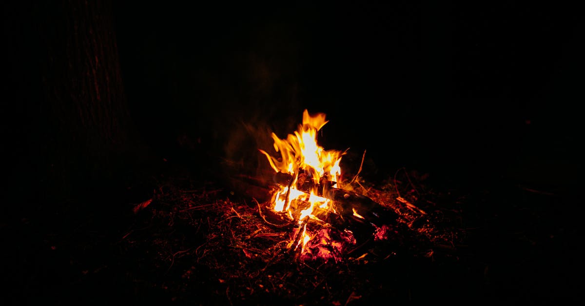 How to survive the heat in regions with very high temperature? - High angle of burning bonfire with orange flame tongues on ground in woods at night