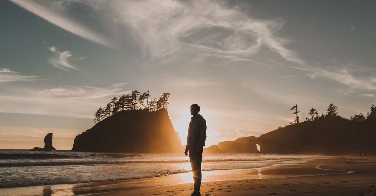 How to travel from/to Washington Dulles and Annapolis? - Silhouette of Man Standing on Beach during Sunset