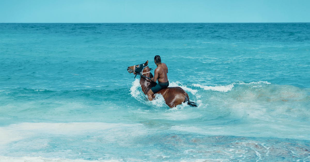 How to travel on horseback? - Photo of Man Riding on Brown Horse on Ocean Water