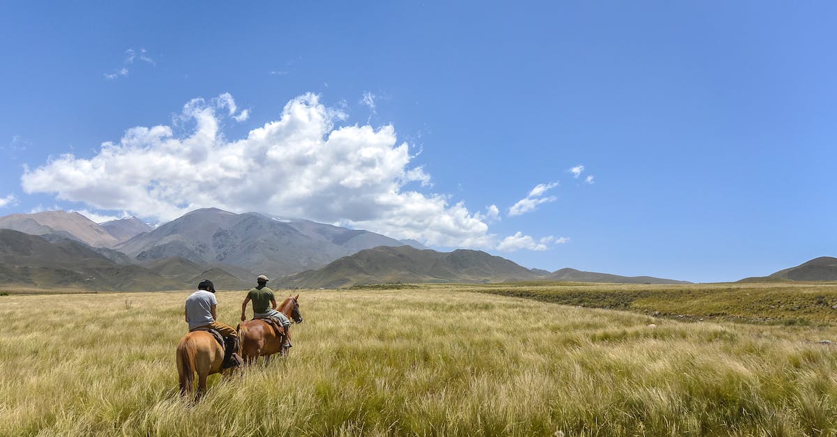 How to travel on horseback? - Men Riding on Horses