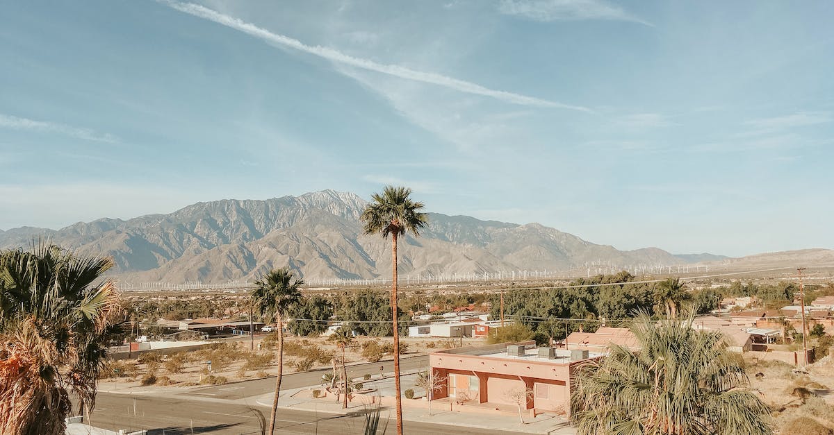 How to travel to California with my cat - with United - A Beautiful Landscape On A Bright Day